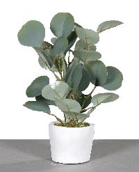Eukalyptus im Topf mit grauem Steintopf  57326 25cm Kunstpflanze